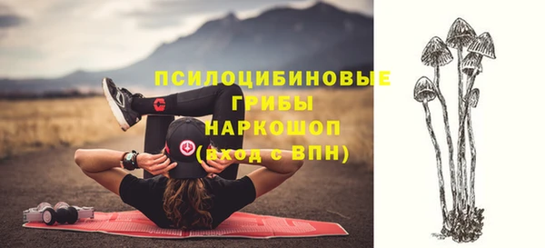 крисы Заволжск