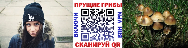 Псилоцибиновые грибы мухоморы  Купить где  Дно 